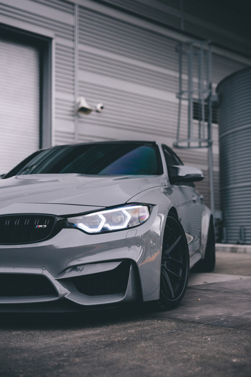 motivationsforlife:Nardo Grey by Sam A.