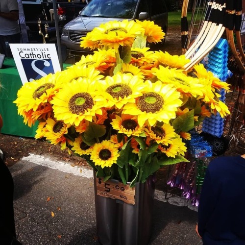 Saw these bright beauties on the main street of the Flowertown Festival.  $5 each, not too bad for a