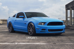 automotivated:  Grabber Blue GT Velgen Wheels VMB8 Matte Gunmetal by VelgenWheels on Flickr.