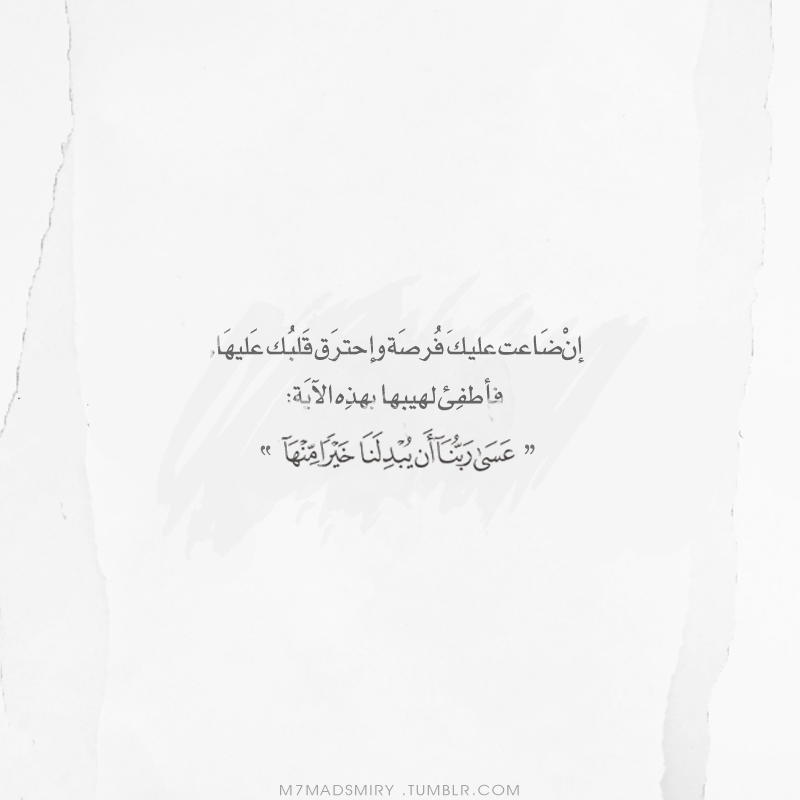 m7madsmiry:  sara-design-21:  -  كان كُل شيء تقريبا 