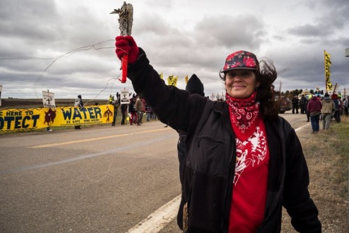 mixdgrlproblems:Portraits of the Faces of #NoDAPL