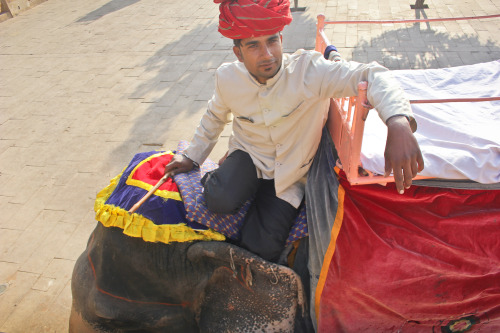 Amber fort, Jaipur.