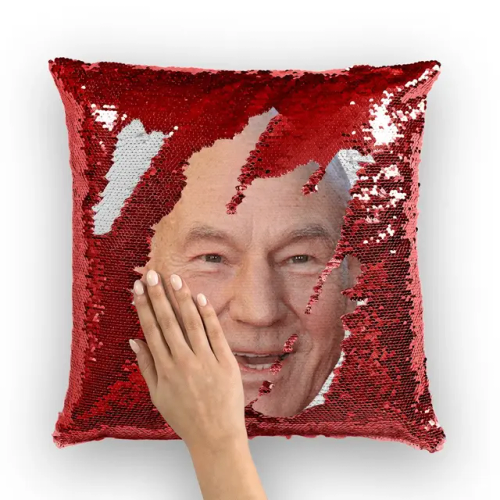 HEEELLP LOOK AT THIS PATRICK STEWART PILLOW I FOUND ON ETSY