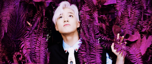 kpop cinematography → we young // nct dream