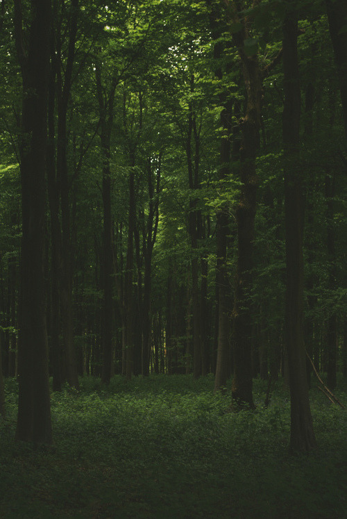 effervescentvibes:   good vibes here 
