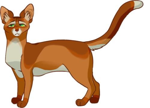 warriorsproject: 「 Rusty・Firepaw・Fireheart・Firestar 」