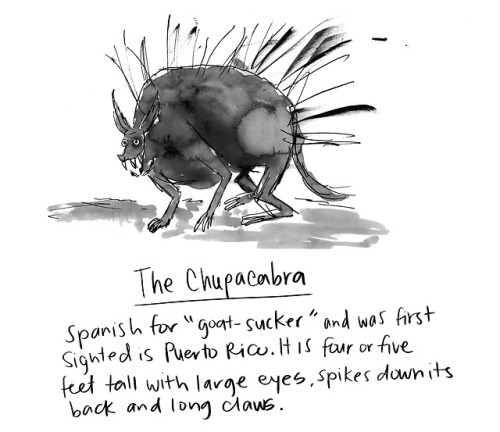 The Chupacabra!!