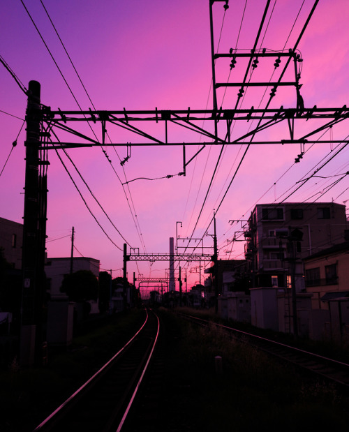 Tokyo Morning ColoursPrints Here