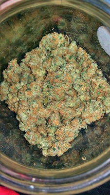 thebudtendersociety:  Sour Diesel sent in by our  BUDdy Mathew  Email your dank pics to get posted on the BTS blog Budtendersociety@gmail.com  Http://budtendersociety.com