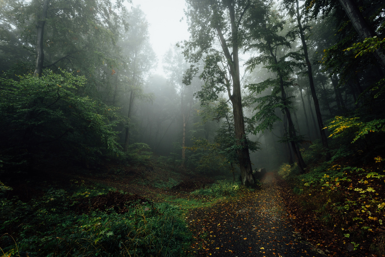 90377:   	Wandel by Olli Henze 