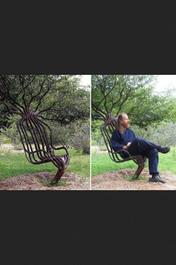 trichomequeen:  This man grew this tree into a chair. Fucking amazing.