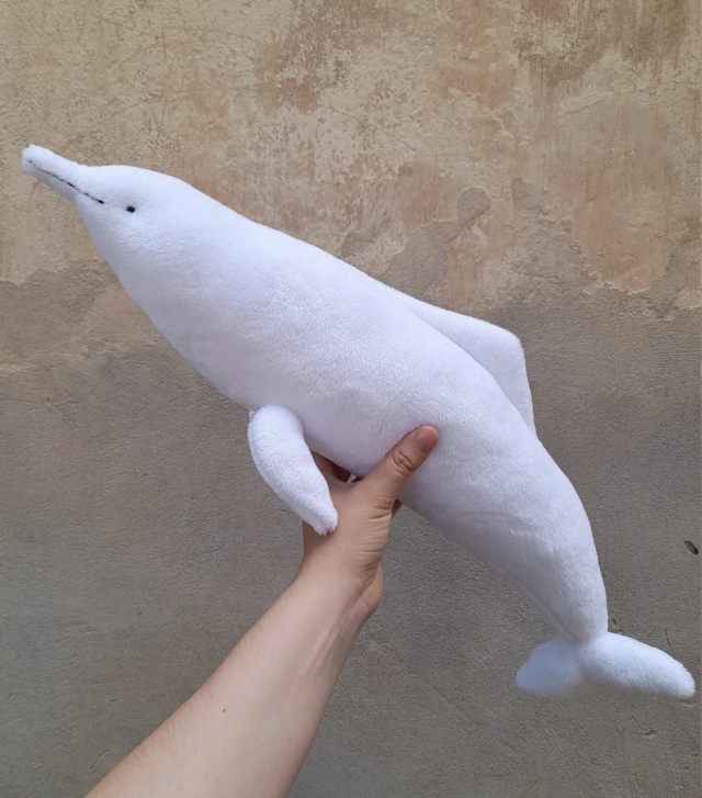🐬 dang Im legitimately convinced now that getting one of these Chinese white dolphins from NaBakir would cure me of all mortal pains 🐬 #handmade plush#nabakir#nabakir plushie#stuffed animals#stuffies#plushies#plushie#plush#plushblr#safe plush#cute#wholesome#dolphin#dolphins#dolphin plush#dolphin plushies#marine life#sealife #chinese white dolphin  #Chinese white dolphin plushie #nabakir dolphin#wishlist#rochemonky