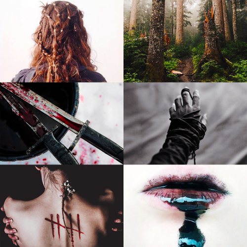 The 100 Aesthetics: Commander Lexa“ Some on my side say that’s not enough. They wanted the mur