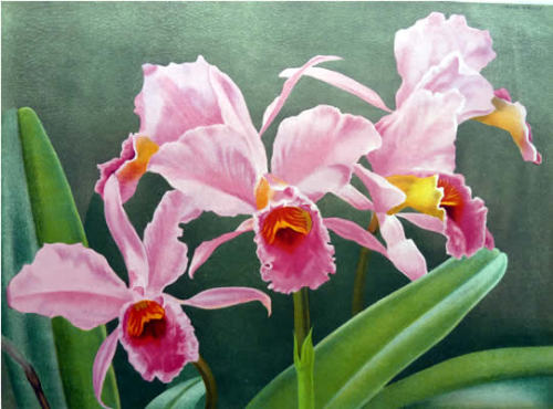  “An orchid in a deep forest sends out its fragrance even if no one is around to appreciate it.”Conf