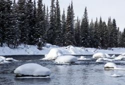 Gulkana Wild and Scenic River, Alaska. Photo by Bob Wick, BLM.