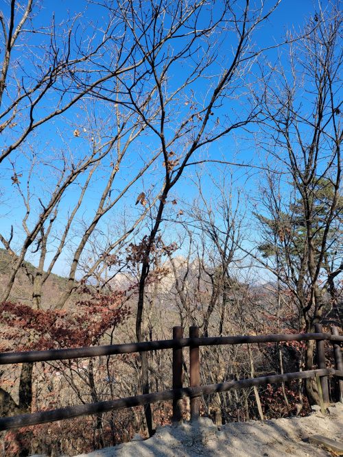 bts-weverse-trans:201111 Namjoon’s Weverse Moment아침 등산Morning hikingTrans cr: Amy @ bts-weverse-tran
