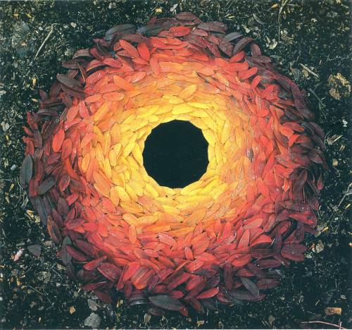 Andy Goldsworthy Andy Goldsworthy (British, b.1956) is a sculptor and photographer whose site-specif