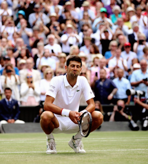 Novak Djokovic eats the Wimbledon grass after winning the 2019 tournament