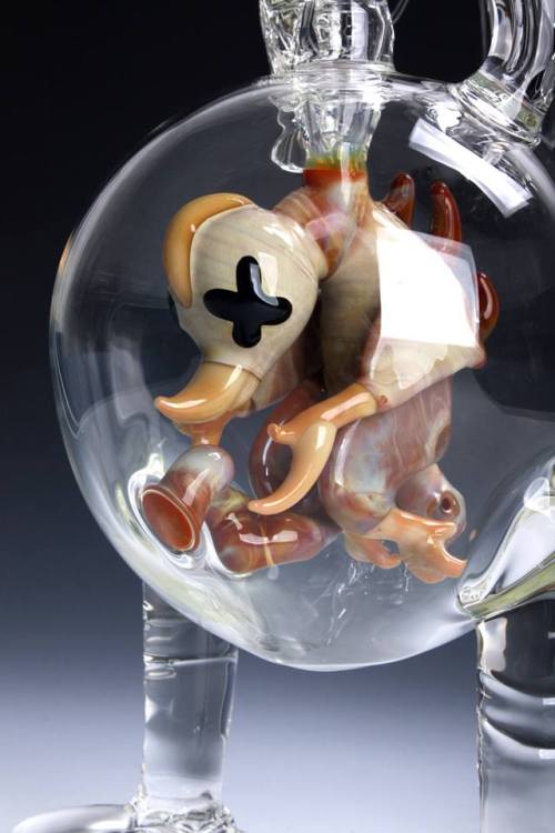 shityouonlythinkofstoned:  Jop x Coyle Chicken Embryo 