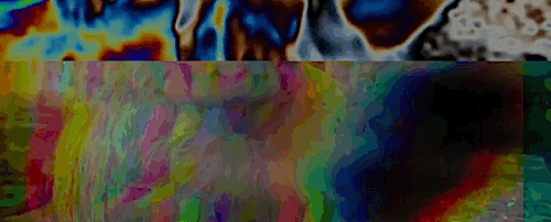 mutant-101:  [X]