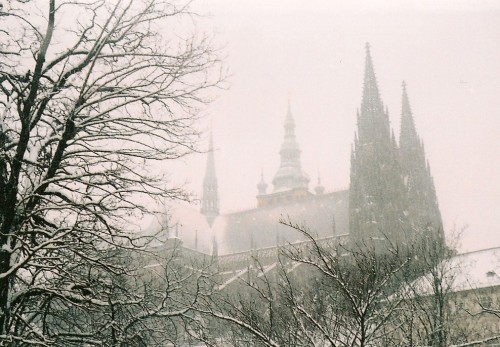 st vitus cathedral