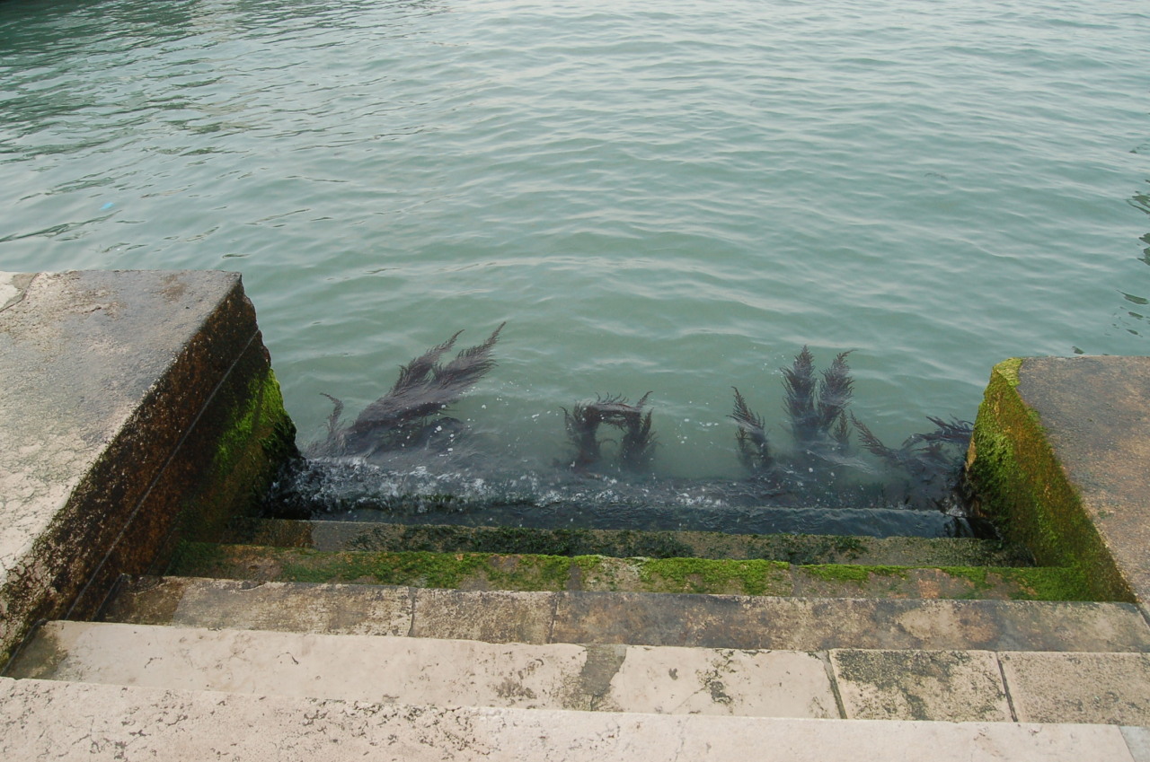 mooney-princess:  walk down this stairwell to become a mermaid of the adriatic sea