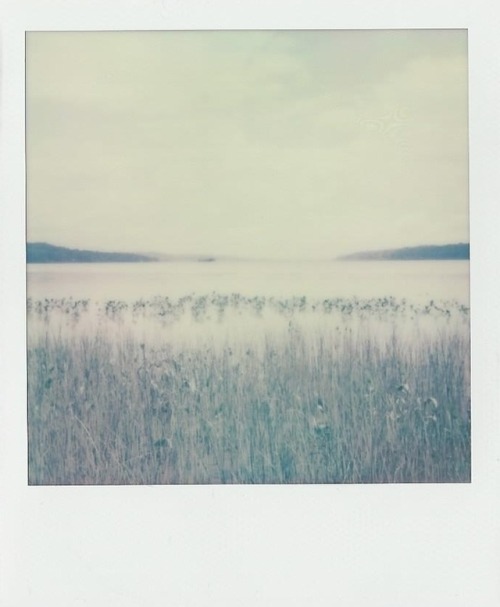 dcci:The Hudson RiverUpstate NY | July 2017Image shot by me (dcci) with a Polaroid 600