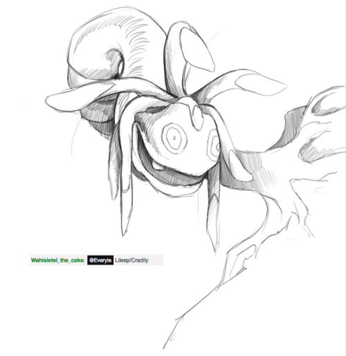 radneighbor:  Some more doodle requests