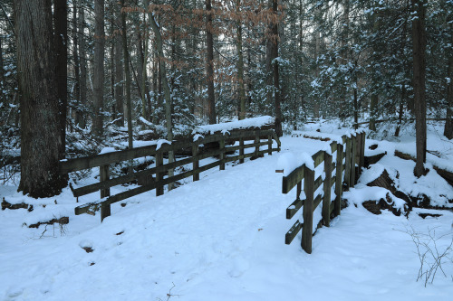 Sometimes the best winter hike is right around the corner. Tibbs Run Preserve at the West Virginia B