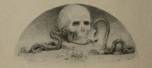 Stephen J. Ferris (1835-1915), &lsquo;Skull&rsquo;, &ldquo;The Idler&rdquo;, Vol. 23, 1892Source