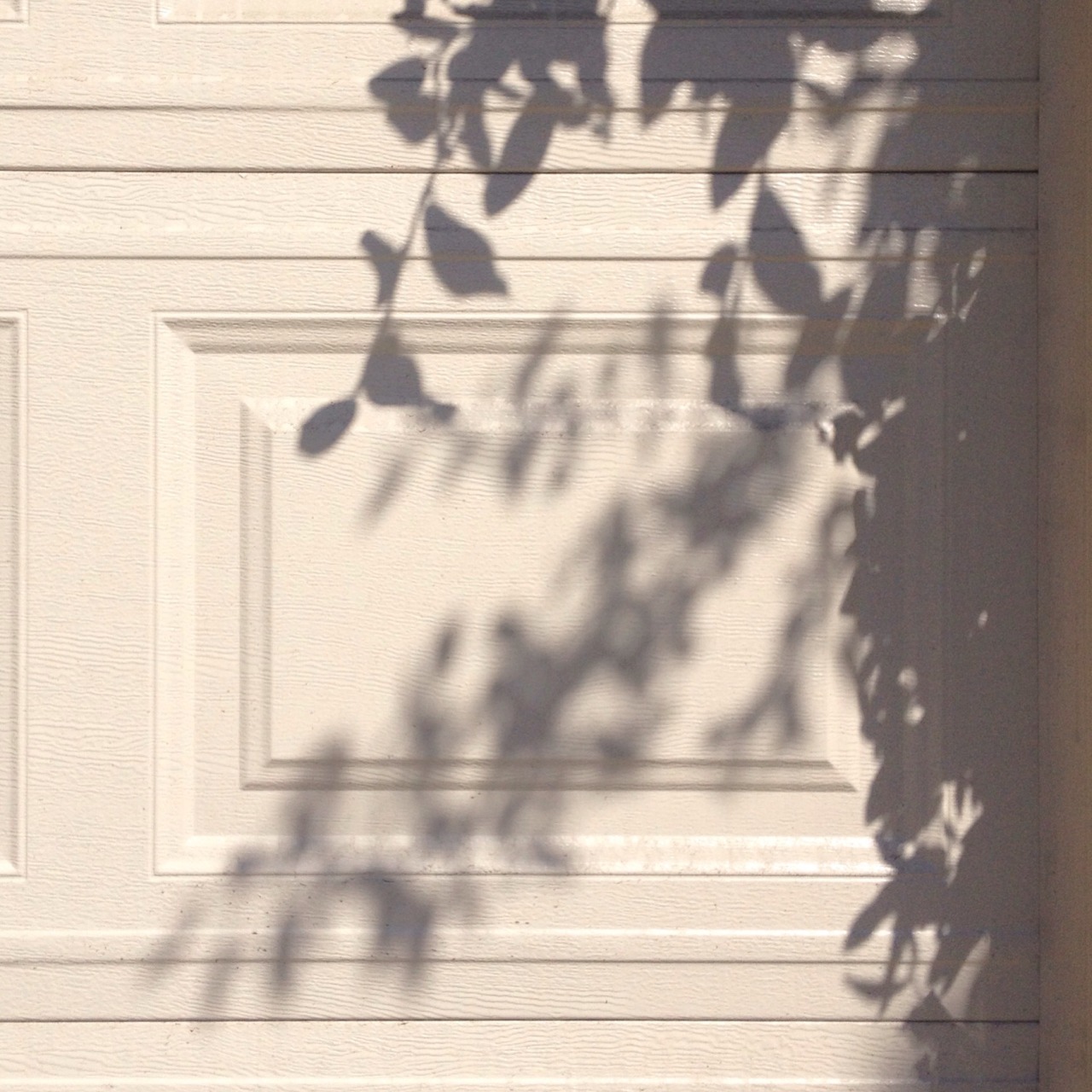 petitjanie:  Walking home from school 