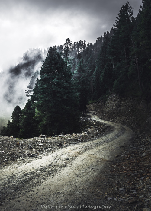 visionsandvistas:The Misty Forest - Azad Kashmir