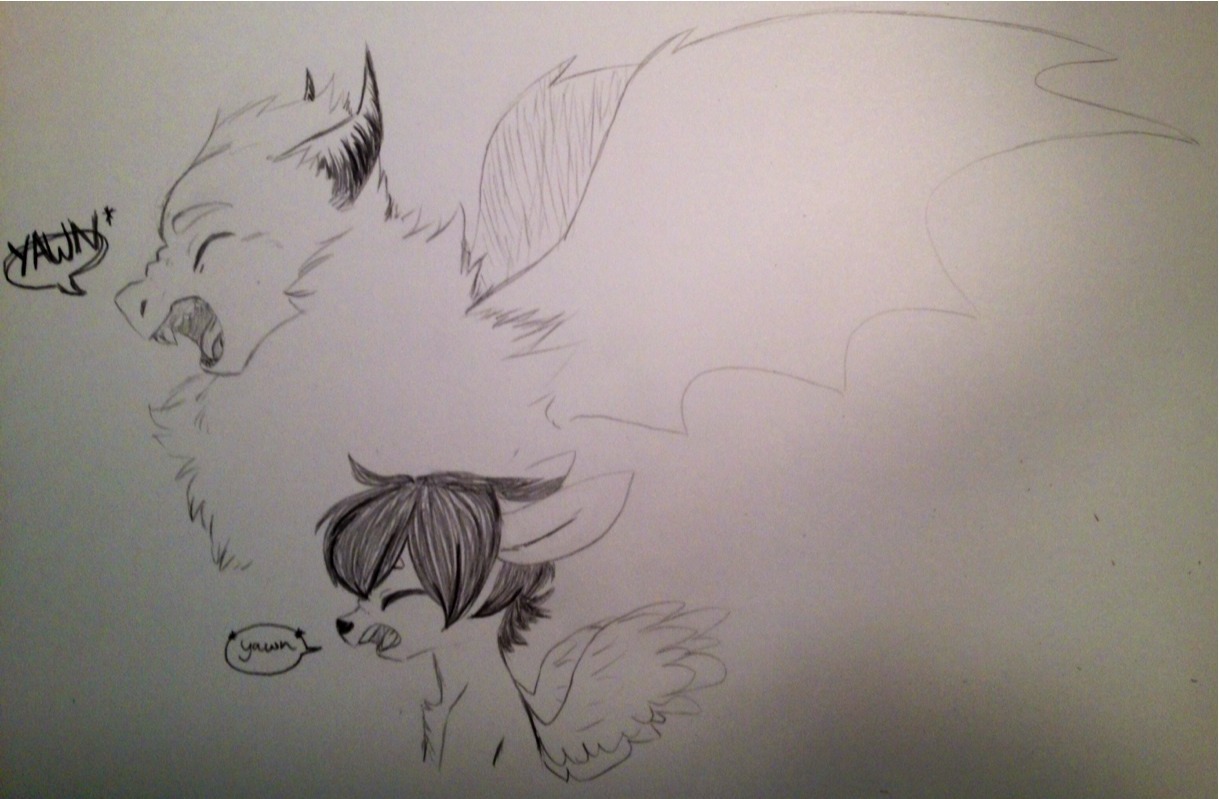 sapphire-and-greyzeek:  timid-arts:  Morning schenanigans with Grey.  *Yaaaaaaawn*