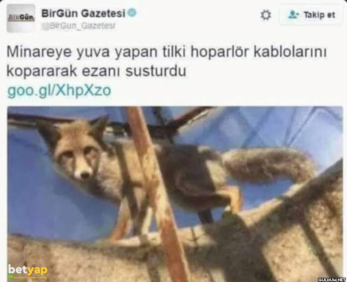 BIRGün BirGün Gazetesi...