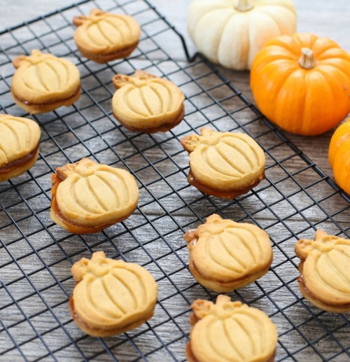 Porn foodffs:  PUMPKIN SPICE SHORTBREAD COOKIES photos