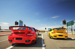 automotivated:  TechArt Porsche 997 Turbo (by Coconut Photography)