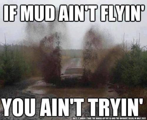 pasturemud:  EXACTLY
