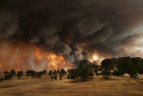 Justin Sullivan - The Rocky Fire, 2015