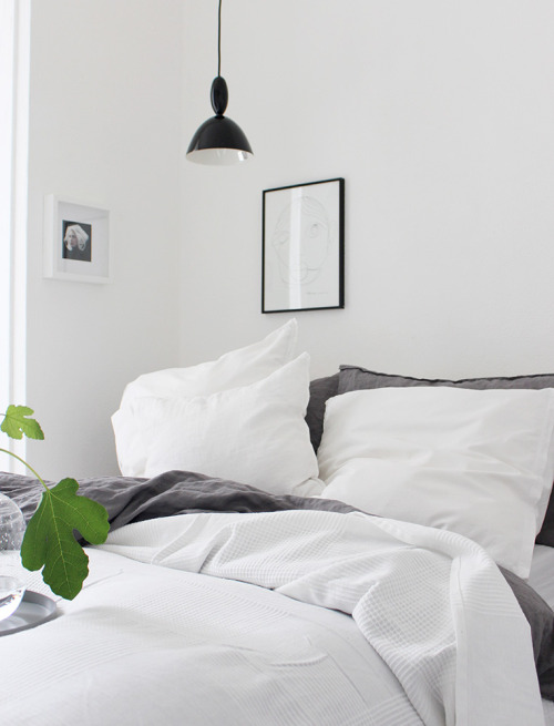 Ollie & Seb’s Haus · New design shop