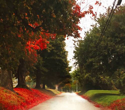 Old Harmony Landing Road, Goshen KY