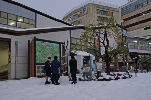 Train stations on a snowy day. / 駅と雪。