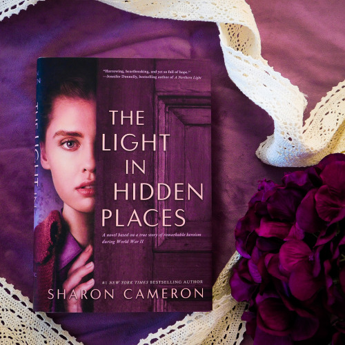all the light in hidden places all the light in hidden places