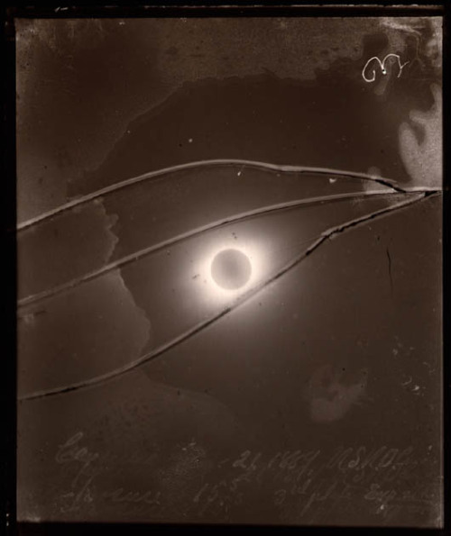 Unknown Photographer, Eclipse of December 21, 1889 Contact print from the original glass negative. F