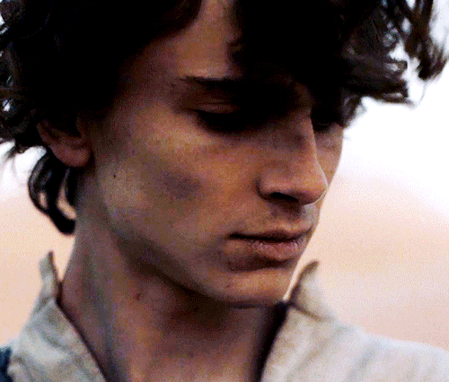 Timothee Chalamet AsPaul Atreides In DUNE