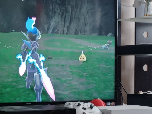 The Two Pokemon In Question.