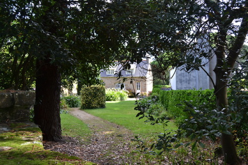 hautbois10: 04/02/2018 @joyofn Flânerie au jardin … Stroll in the garden …