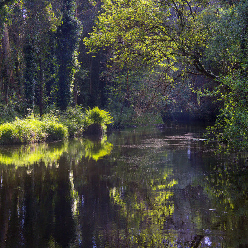 Río Landro by Pilar Azaña on Flickr.