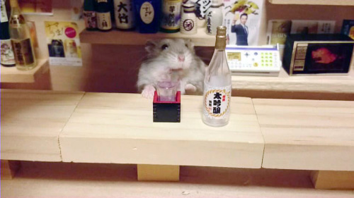 the-vortexx:  Hamsters as shopkeepers!  