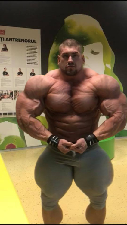 bbroidbelly: Come on … more !!