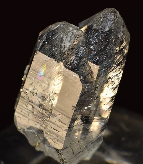 Sterryite included Quartz - Pollone mine, Valdicastello Carducci, Pietrasanta, Apuan Alps, Lucca Pro